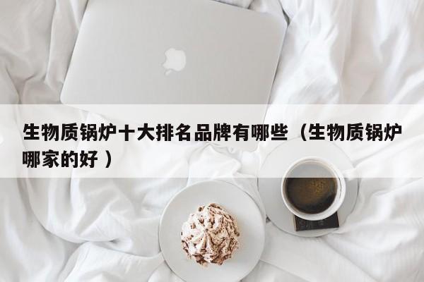 生物質鍋爐十大排名品牌有哪些（生物質鍋爐哪家的好 ）
